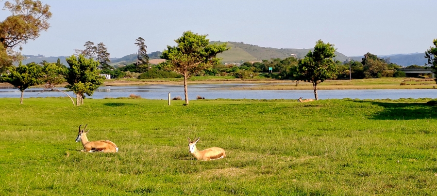 3 Bedroom Property for Sale in Twin Rivers Western Cape